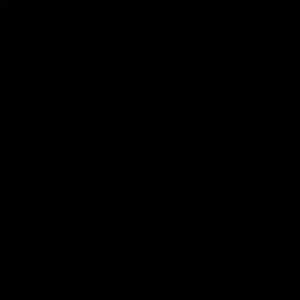 Meet your Posher, Lele